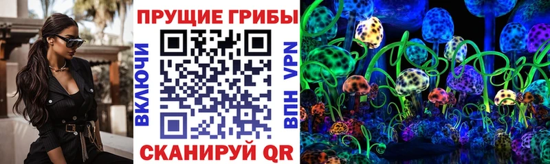 Галлюциногенные грибы Psilocybine cubensis Шарья